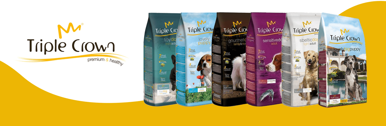 soziale Netze die gut laufen