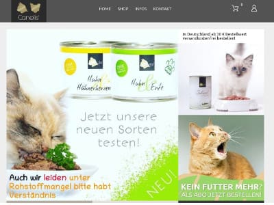 Onpage und Offpage SEO für Canelis.de
